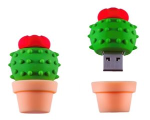USB-stick Cactus